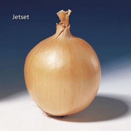 Jetset