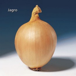 Jagro