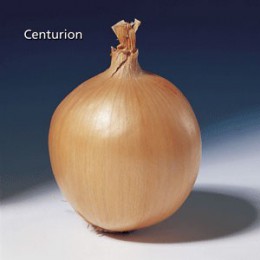 Centurion
