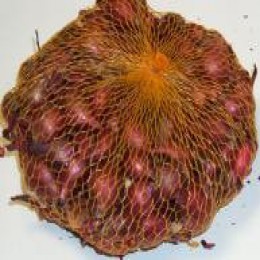 Csardas