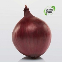 Red Light (Geprepareerd)