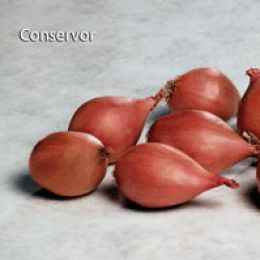 Conservor